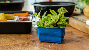 ANL Packaging blue cress tray for agriculture